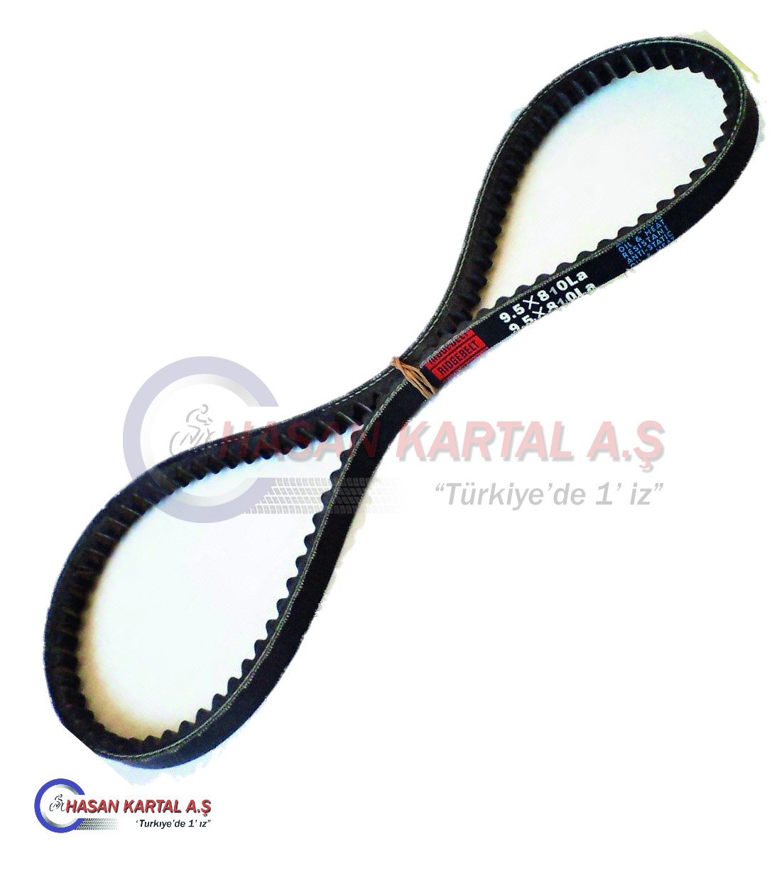 AX 9.5x810 Ridgebelt (Tırtırlı) Kayış